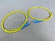 patch cord and pigtail
